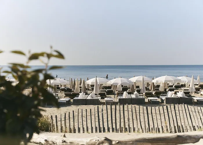 Hotel Plage Palace & Spa